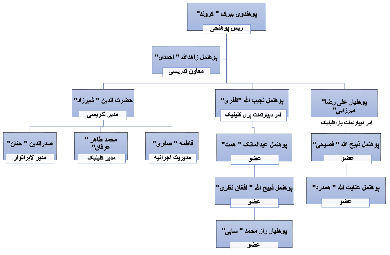 چارت تشکیلاتی