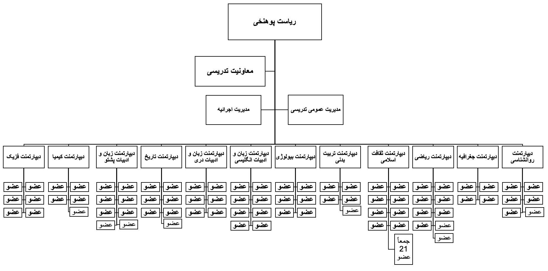 چارت تشکیلاتی