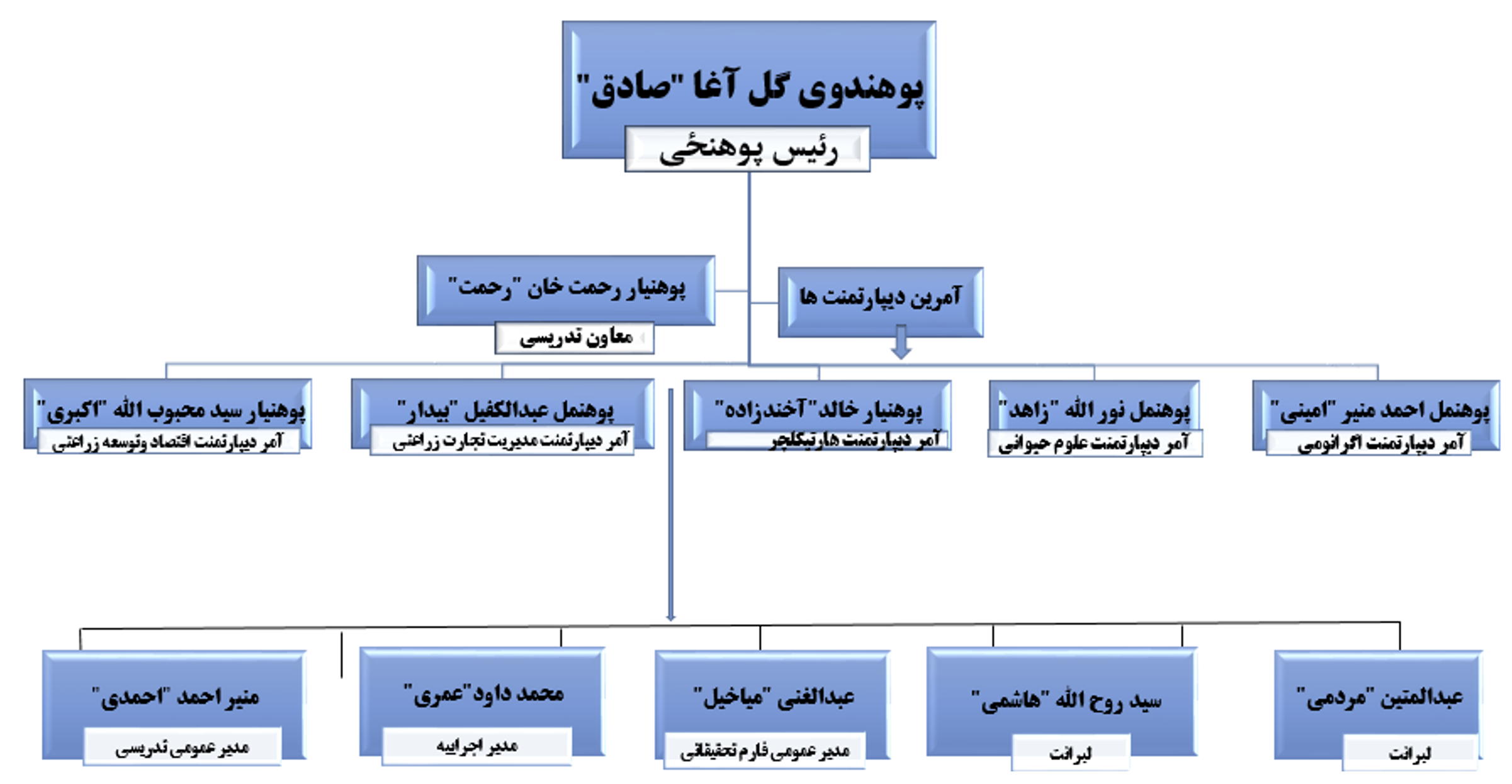 چارت تشکیلاتی