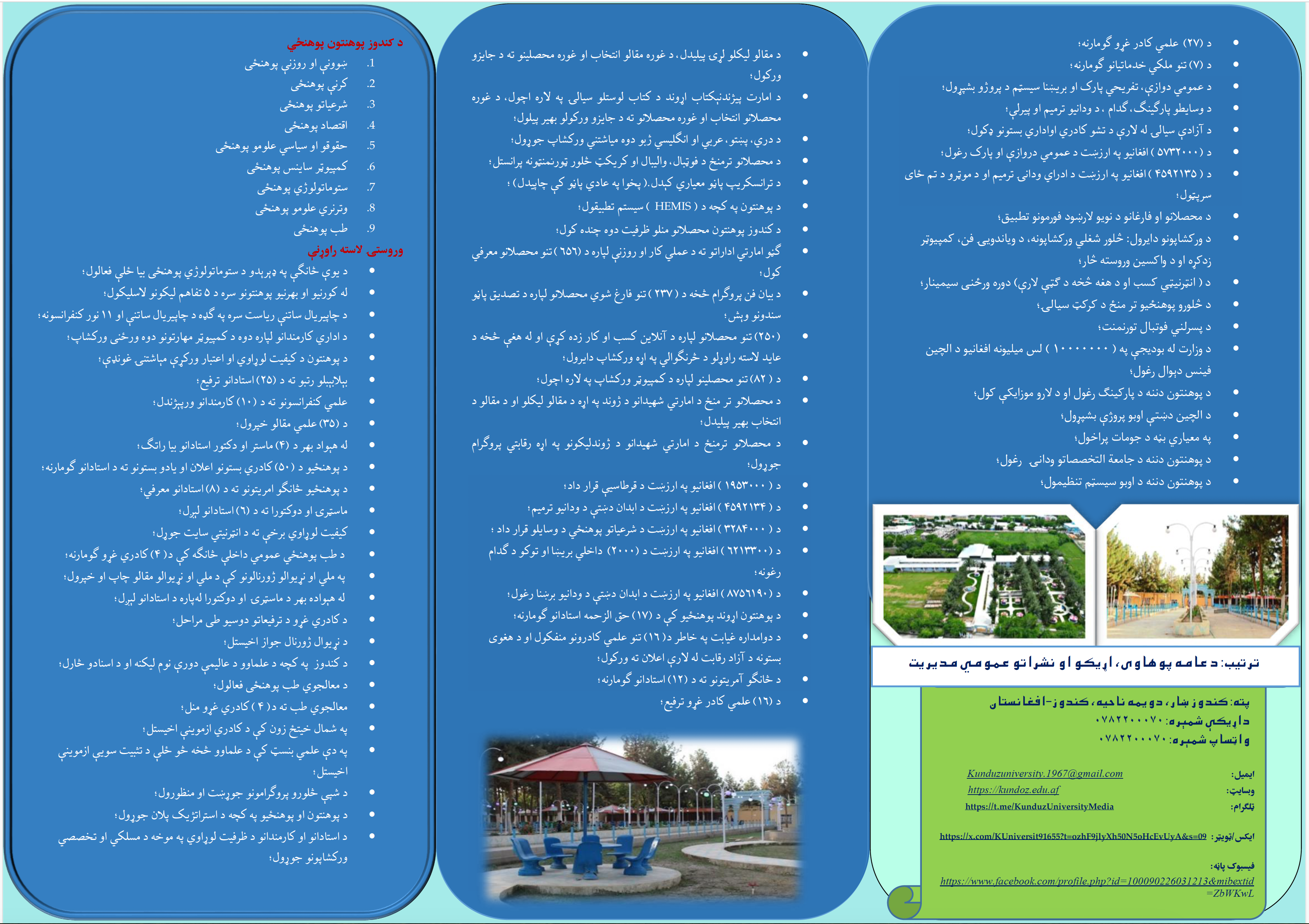 چارت تشکیلاتی