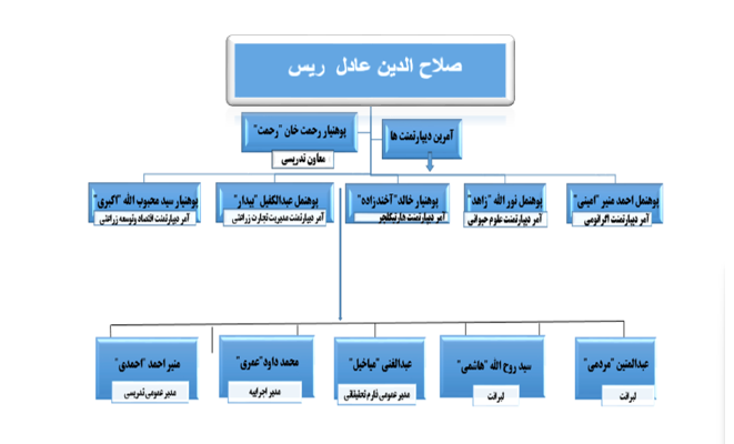 چارت تشکیلاتی